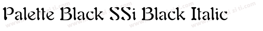 Palette Black SSi Black Italic字体转换